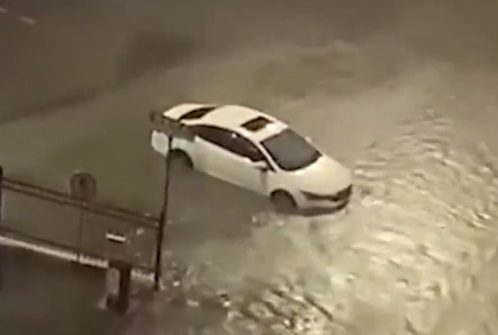 1663297680554703.jpg tfmhdzby1.jpg